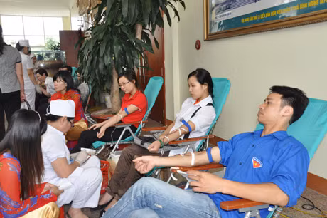 ĐVTN tham gia hiến máu tình nguyện tại Lễ tôn vinh những người hiến máu tình nguyện tiêu biểu toàn tỉnh, tháng 5-2012. Ảnh: Hoàng Quý