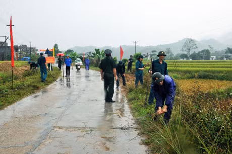 LLTV huyện Đầm Hà tham gia xây dựng nông thôn mới tại xã Quảng Lâm (Đầm Hà).