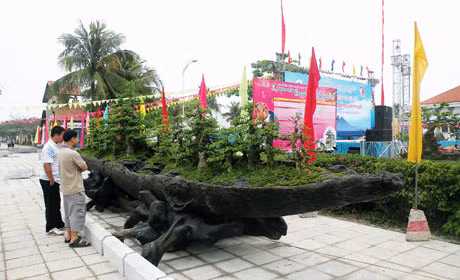 Triển lãm sinh vật cảnh tại Lễ hội Du lịch Hạ Long năm 2011. Ảnh: Quốc Huấn
