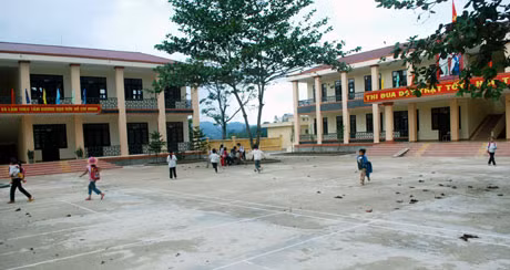Trường Tiểu học Phong Dụ 2 được xây dựng mới và đưa vào sử dụng năm học 2011-2012.