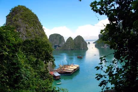 Hãy bầu chọn cho vịnh Hạ Long qua trang web: http://www.new7wonders.com, bạn có thể gửi tin nhắn với cú pháp Ha Long hoặc HL đến tổng đài 147.