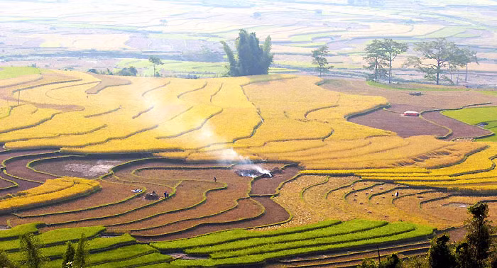 Nhà nghỉ ở phố núi bây giờ cũng đã nhiều hơn, thay vì sự lựa chọn ít ỏi như trước đây là Sơn Ca, Suối Mơ, tại trung tâm thị trấn còn có nhà nghỉ Bưu Điện, nhà nghỉ Moon... Và đặc biệt là mức giá phòng rất rẻ, chỉ 150.000 - 250.000/phòng