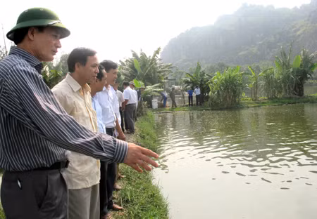 Đồng chí Đặng Huy Hậu, Ủy viên BTV Tỉnh ủy, Phó Chủ tịch UBND tỉnh thăm mô hình nuôi cá rô phi của gia đình anh Vũ Văn Chiến, thôn Dương Đê, xã Yên Đức, huyện Đông Triều.