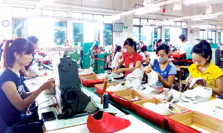 Gia công giày da ở Công ty TNHH giày gia Sao Vàng (Uông Bí). Ảnh: Việt Hoa