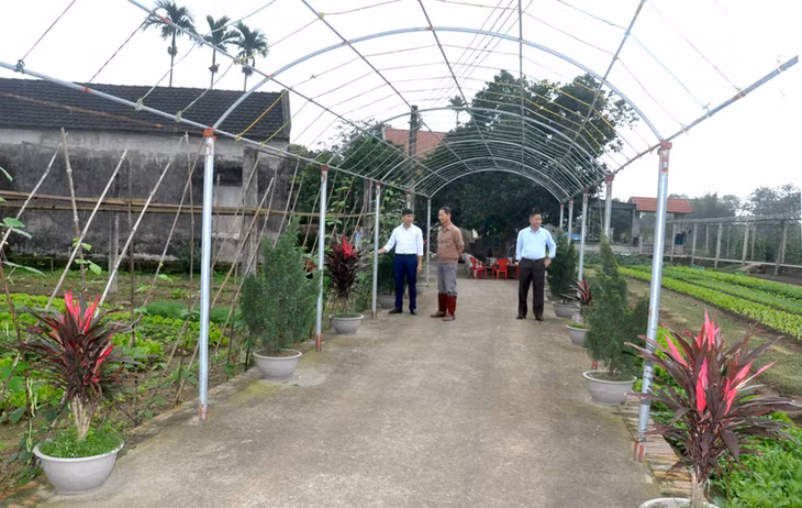 Cán bộ xã Quảng Ninh kiểm tra các mô hình vườn mẫu tại thôn 4, xã Quảng Minh (Hải Hà). Ảnh: Thu Nguyệt