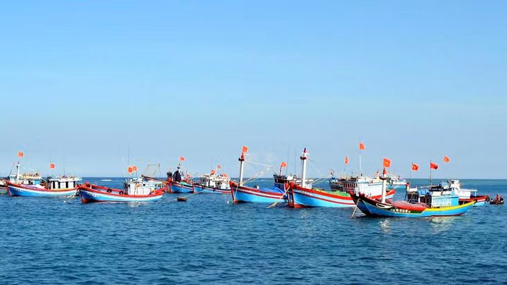 Đội tàu 