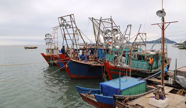 4 phương tiện không có giấy tờ khi hoạt đông khai thác thủy sản bị tạm giữ tại 