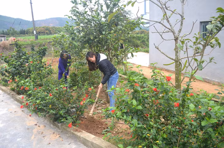Thôn Lò Vôi, xã Nam Sơn, huyện Ba Chẽ là nơi phụ nữ đầu trồng hoa ở Ba Chẽ