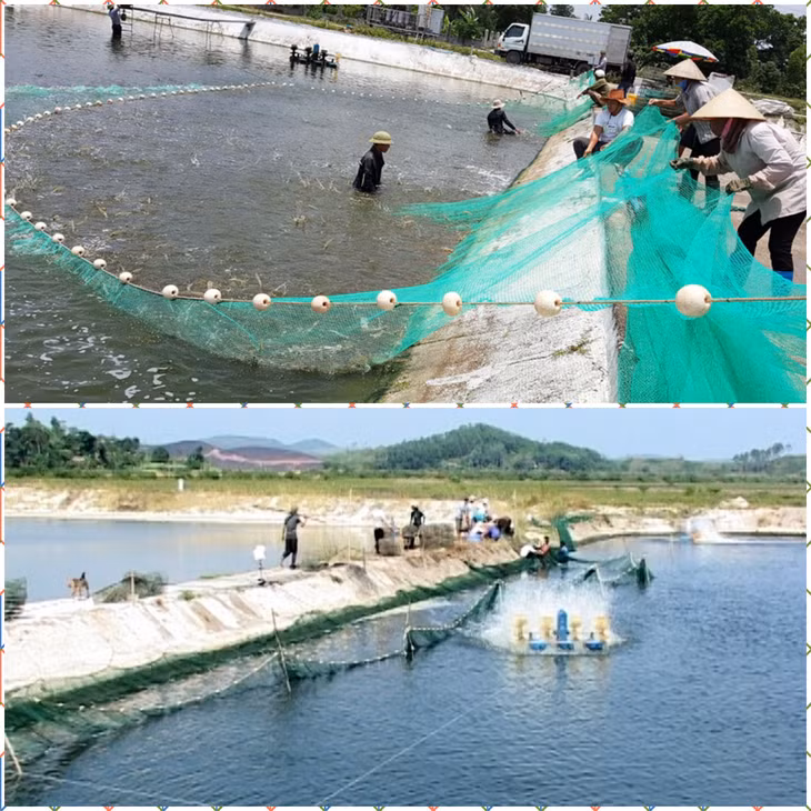 Tuy nhiên hạ tầng nuôi chủ yếu là các ao, đầm trên đất liền, ít nhiều gây những tác động bất lợi lên môi trường