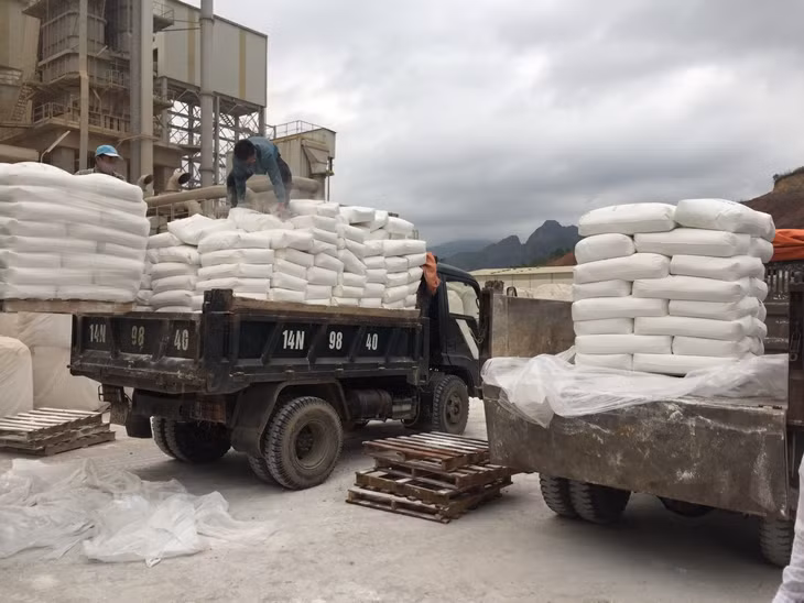 45 tấn vôi bột đã được phát cho các xã, thị trấn để chủ động phòng dịch. 