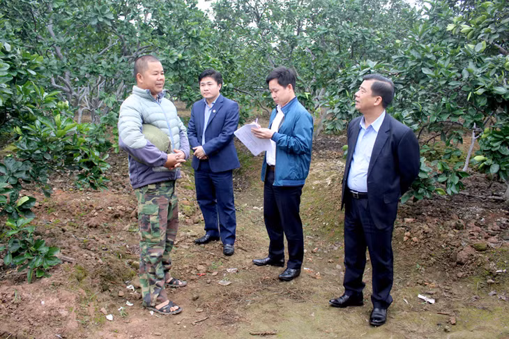 Đoàn tham quan mô hình trồng bưởi diễn của hộ anh Nguyễn Văn Hạnh, thôn Đồng Ý, xã Việt Dân.
