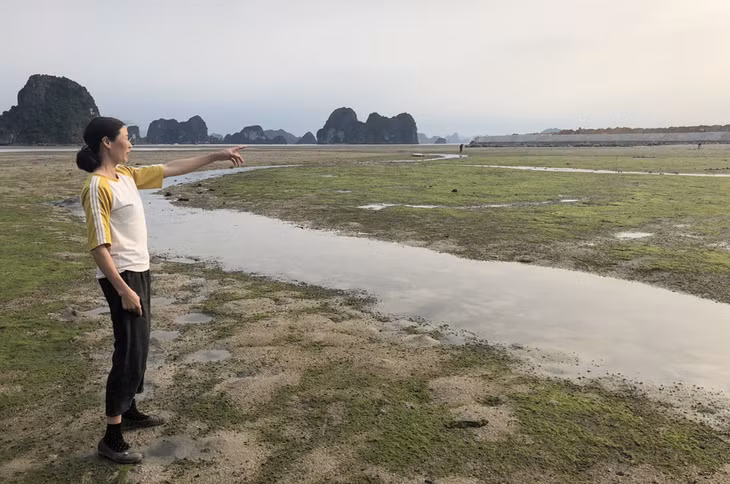 Chương cát khai thác sá sùng xã Đông Xá đã bị lấp một phần bởi Dự án khu đô thị mới Đông Xá