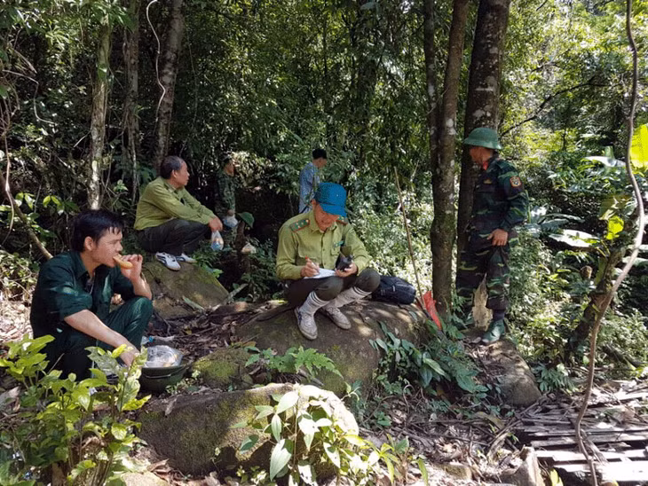 Huyện Hải Hà tiến hành rà soát, triển khai thực hiện Đề án giao đất, giao rừng trên địa bàn huyện.