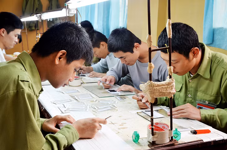 Tính đến tháng 6/2018, toàn tỉnh có 956 thanh, thiếu niên từ 16-30 tuổi nghiện ma túy. 