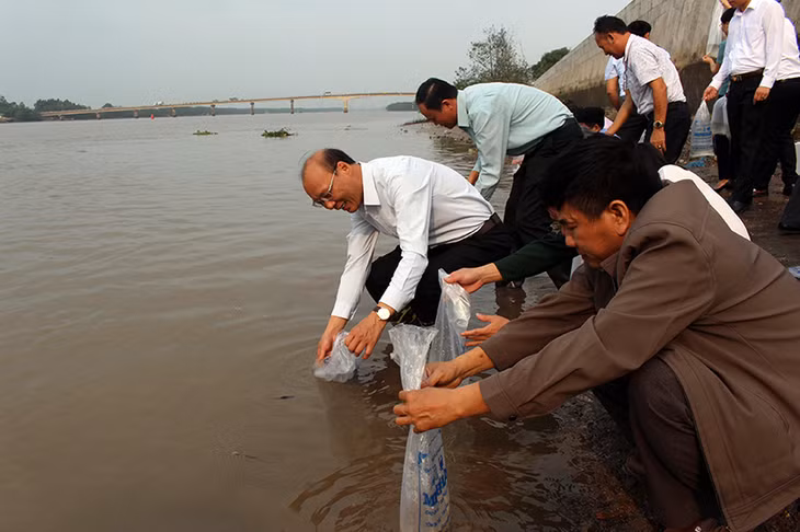 ác đồng chí lãnh đạo Thị xã tiến hành thả tôm sú giống tại khu vực sông Chanh.
