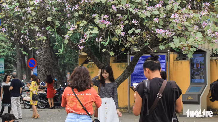 Các bạn trẻ cùng nhau check - in lung linh - Ảnh: NGUYỄN HIỀN