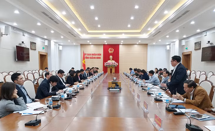 Đoàn giám sát ủy ban đối ngoại của quốc hội giám sát việc thực hiện chính sách, pháp luật về NNN trên địa bàn Quảng Ninh