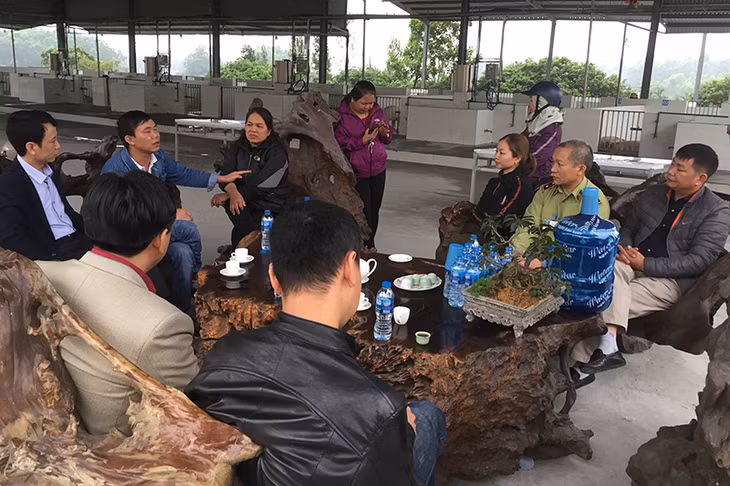 Các hộ kinh doanh thảo luận việc thực hiện giết mổ gia súc, gia cầm tập trung theo quy định.
