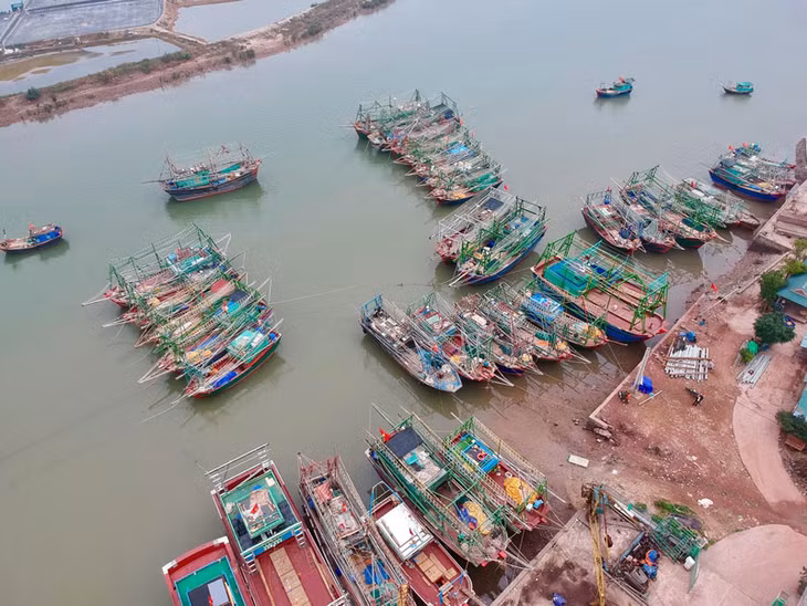 Đội tàu đánh cá xa bờ của ngư dân xã Tiến Tới (Hải Hà).