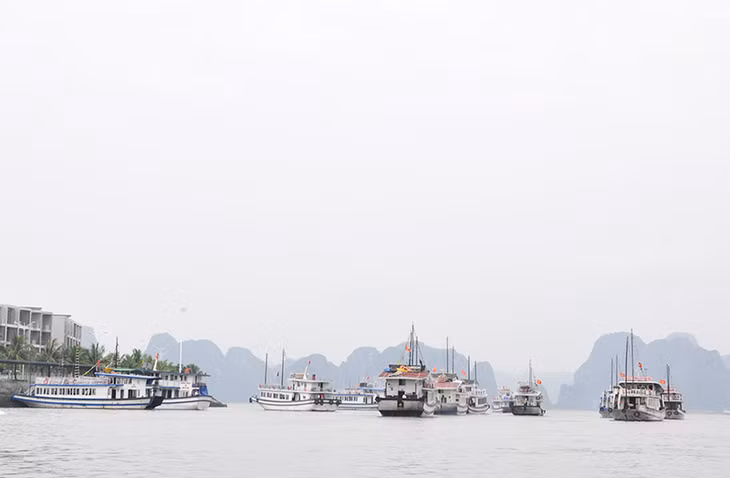 Thu phí tham quan Vịnh Hạ Long tiếp tục được