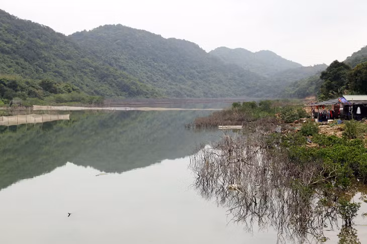 Phía ngoài đầm nước Khe Vù (thôn Đầu Rồng, xã Cái Chiên), UBND huyện Hải Hà đã giao 2ha cho một hộ dân nuôi trồng thủy sản.