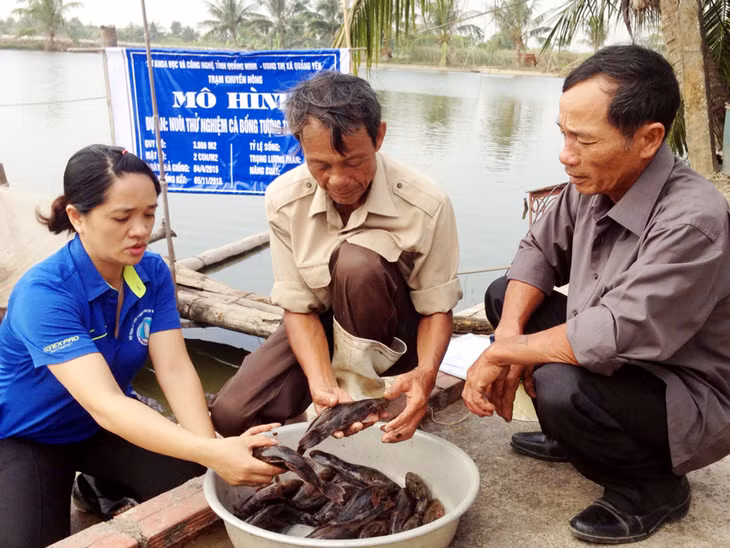 Chủ nhiệm Dự án Vũ Thị Tám trao đổi với 2 hộ tham gia nuôi thử nghiệm cá bống tượng về kết quả đạt được từ đối tượng nuôi mới này.
