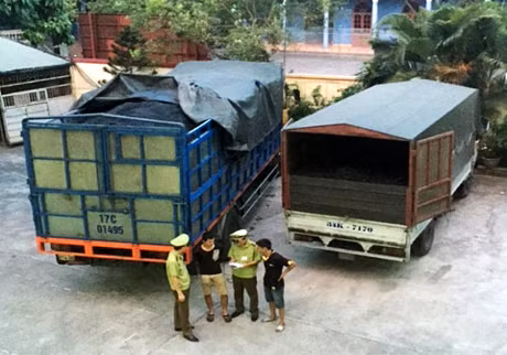 Các lực lượng chức năng của TP Cẩm Phả bắt giữ các phương tiện vận chuyển than trái phép tại Cọc 6 và Km6 trên địa bàn trong tháng 5-2015. Ảnh: Tuấn Hương