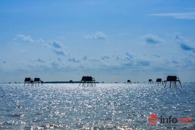 Mặt biển dát bạc