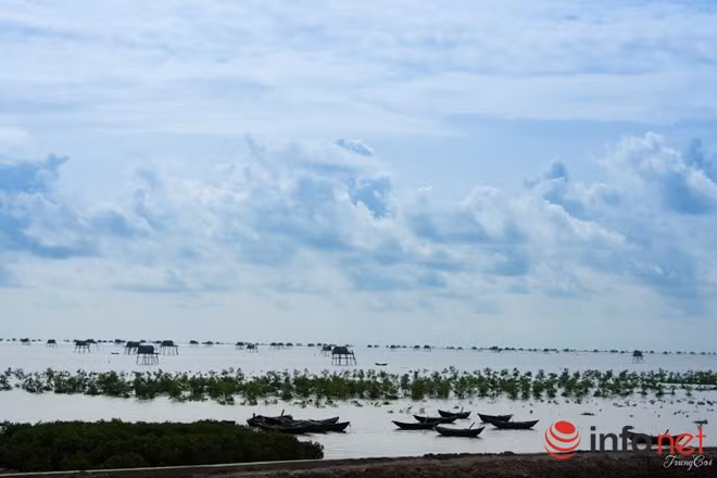 Những con thuyền dập dềnh trên sóng biển.