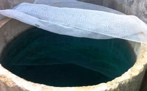Bể nước nhà chị Châu bị chị chồng của mình đổ thuốc diệt cỏ vào.