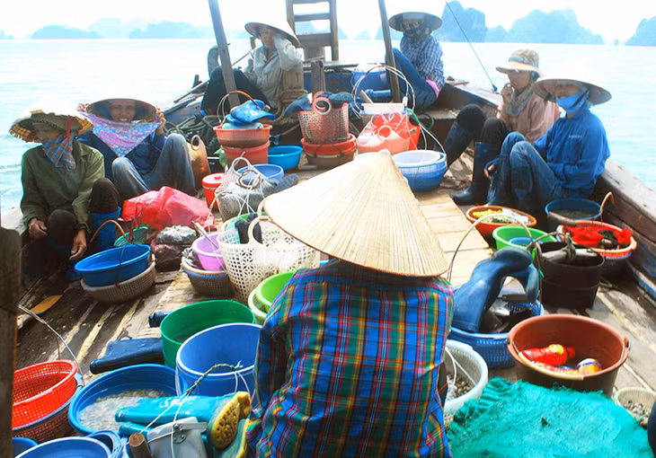 Các thành viên nhóm chia sẻ lợi ích đã có thu nhập ổn định hơn.