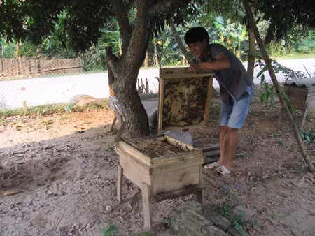 Ảnh minh họa. (Nguồn Internet)