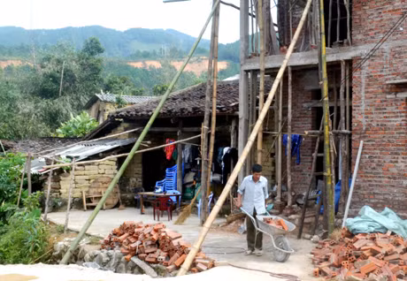 Từ trồng thông và khai thác nhựa, mà anh Nình Văn Ba ở thôn Kéo Cai, xã Đại Thành đã tự xoá nghèo và xây được nhà kiên cố.