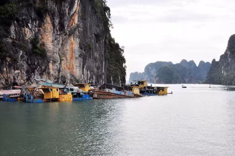 Những chiếc tàu bỏ hoang trên Vịnh Hạ Long vẫn chưa được di dời.