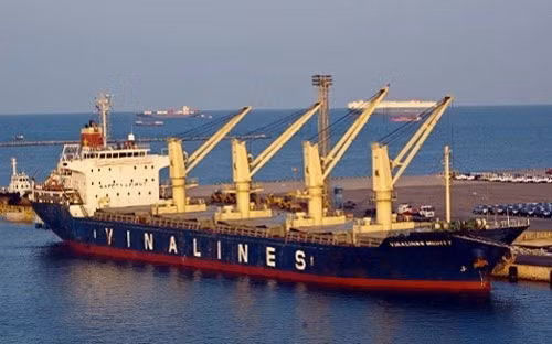 Với vốn điều lệ 10.693 tỷ đồng, Vinalines sẽ hoạt động trong các ngành nghề chính như: kinh doanh vận tải đường biển, đường thuỷ nội địa, đường bộ, đa phương thức, logistics....