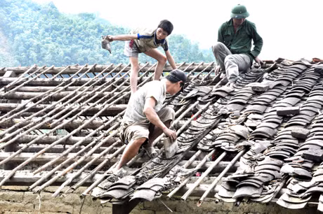 Người dân Phong Dụ lợp lại mái nhà sau khi bão qua.