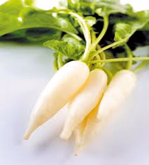 Củ cải nấu chín vị ngọt, tính bình, quy kinh phế và vị, có công dụng chữa nhiều bệnh khác nhau, trong đó có bệnh ung thư.