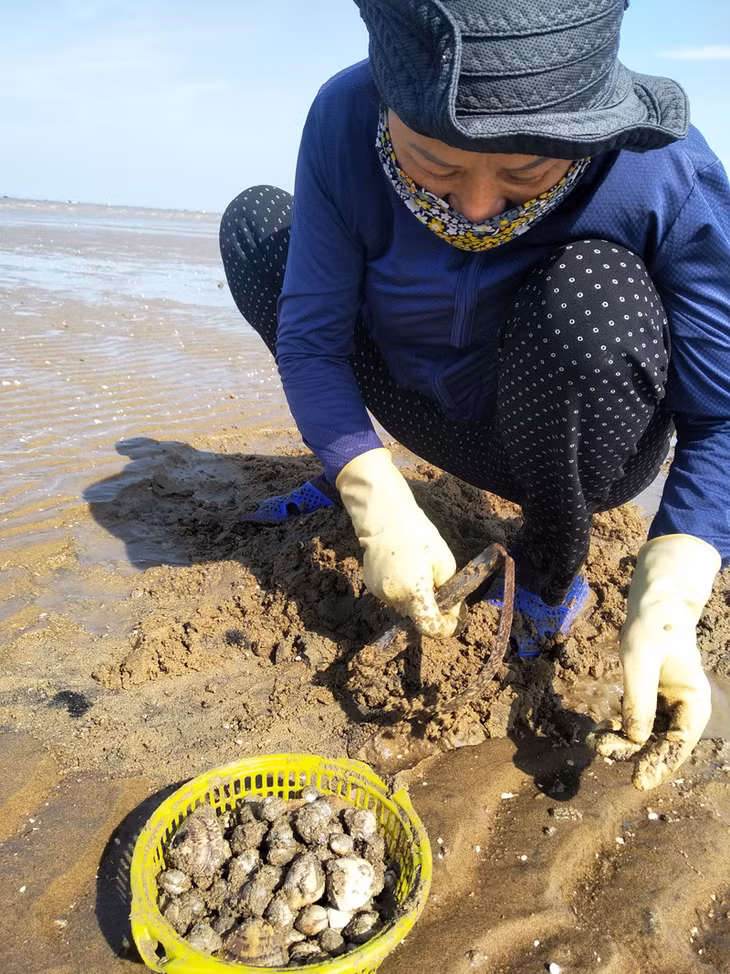 Do ảnh hưởng của dịch bệnh Covid-19, từ đầu năm đến nay càng có nhiều người dân xuống c