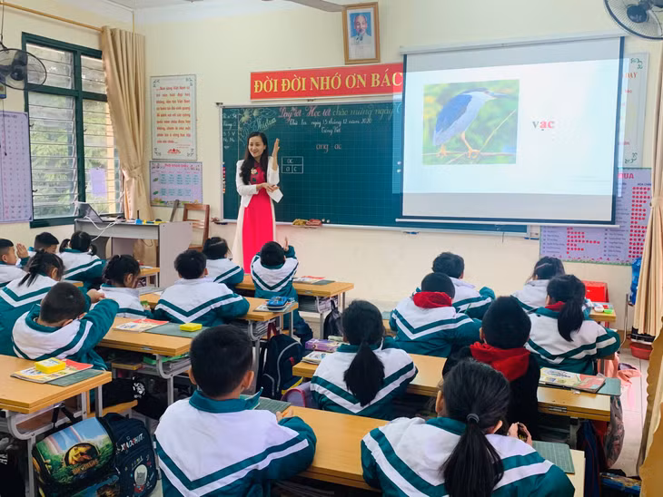 Tiết dạy thực hành của cô