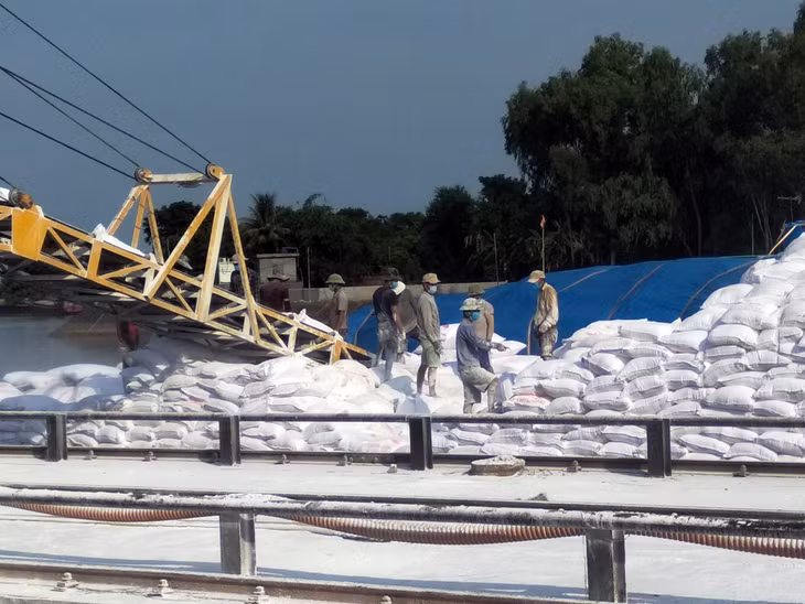 Bốc xếp hàng hóa tại Cảng của Công ty CP Thành Đạt.
