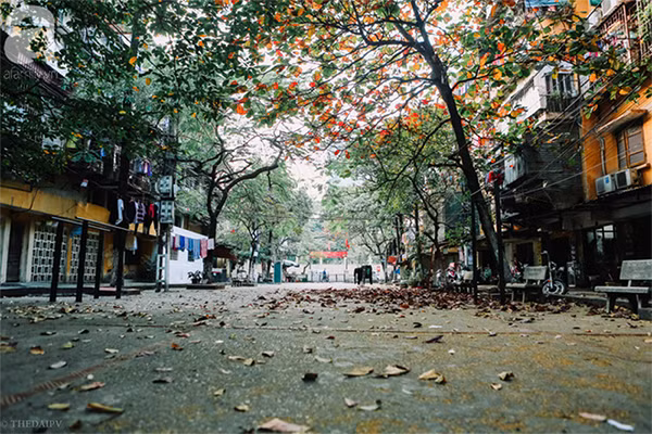 Ảnh minh họa: KT