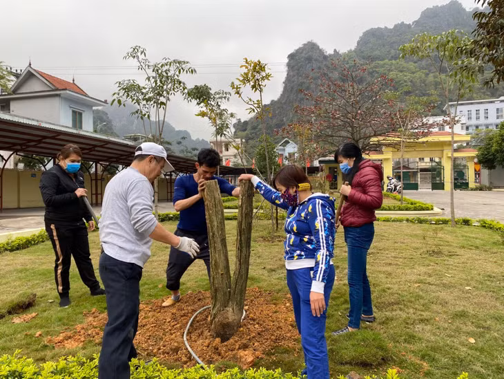 Phụ huynh, giáo viên Trường THCS Suối Khoáng trồng mới cây xanh.