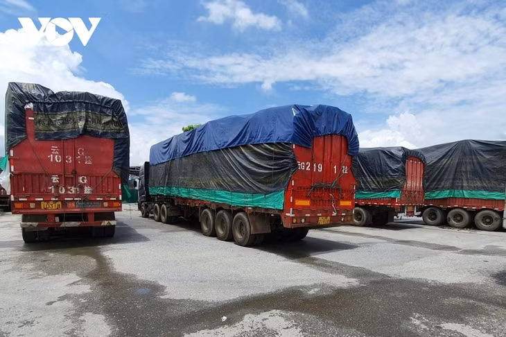 Các xe hàng vô chủ tại Cửa khẩu Kim Thành (Lào Cai)