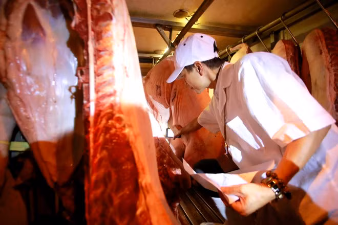 Giá heo hơi tăng được dự báo chỉ trong ngắn hạn