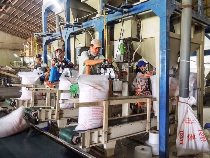 Xuất khẩu gạo Việt Nam sang nhiều thị trường tăng mạnh.