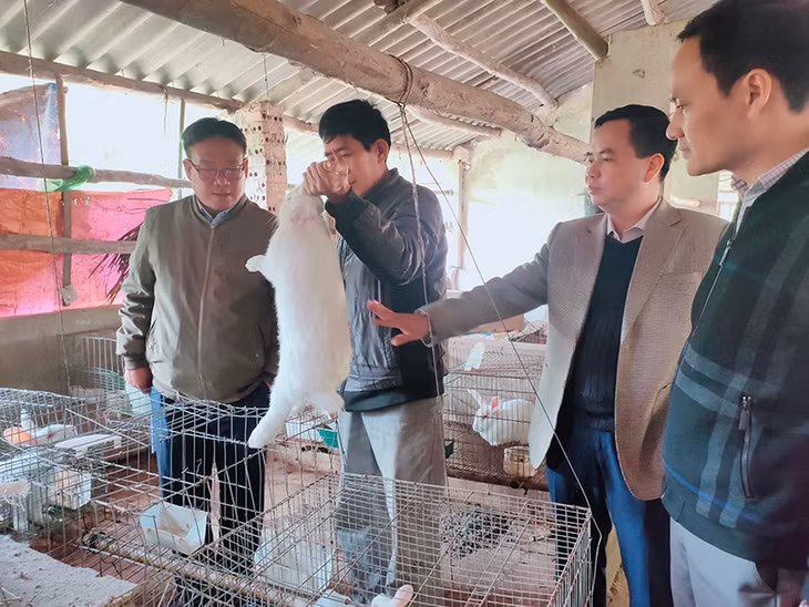Đoàn công tác liên ngành kiểm tra công tác phòng chống rét cho vật nuôi tại TP Cẩm Phả.
