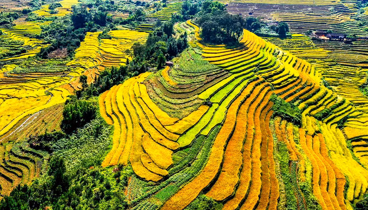 Ruộng bậc thang xã Lục Hồn, huyện Bình Liêu nhìn từ trên dù lượn - Ảnh: Đỗ Phương
