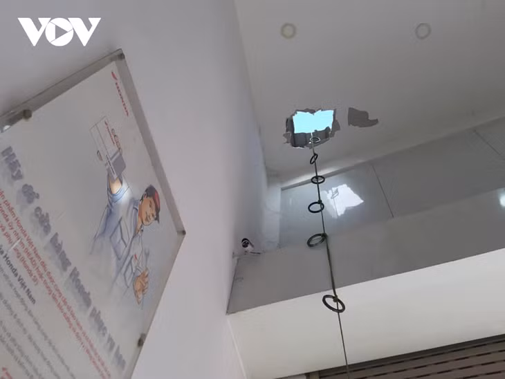 Một lổ la phong bị trộm cắt vào nhà