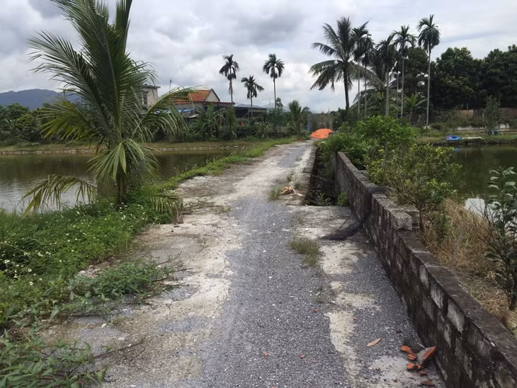 Hộ ông Tẻo đã đổ một phần mặt bờ mương làm lối đi vào thửa đất của gia đình.