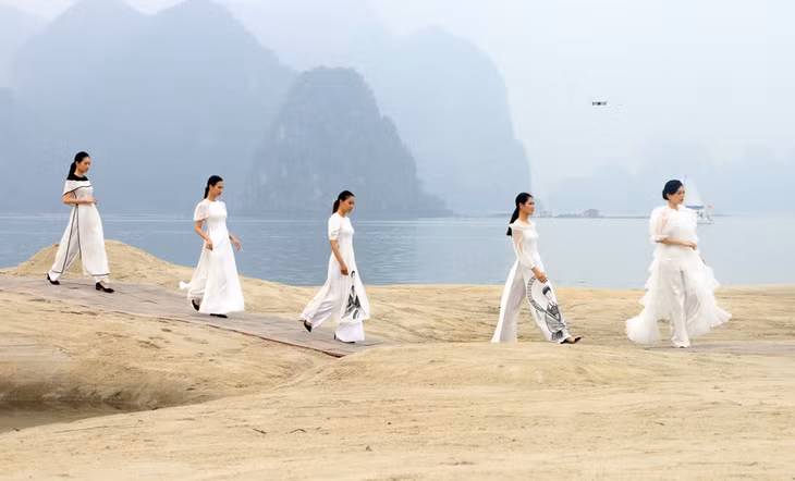 Bộ sưu tập